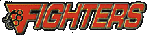 fighters.gif (4737 Byte)
